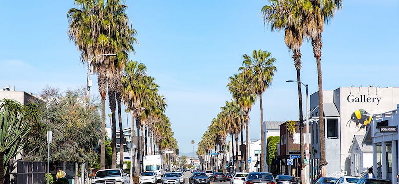 Abbot Kinney Boulevard is an interesting place to visit when Shopping in Los Angeles