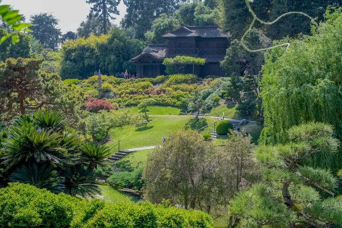 Explore The Botanical Gardens In Los Angeles