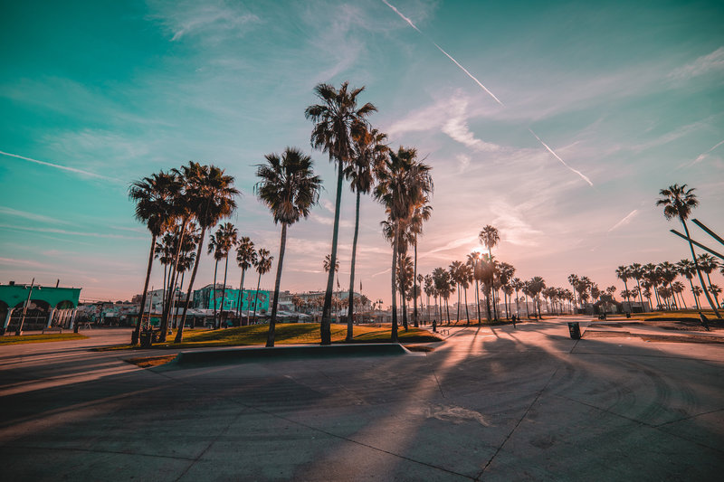 Venice beach - top 15 iconic places in LA